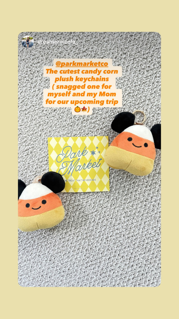 Instagram story from @dreamernicole_ featuring Park Market