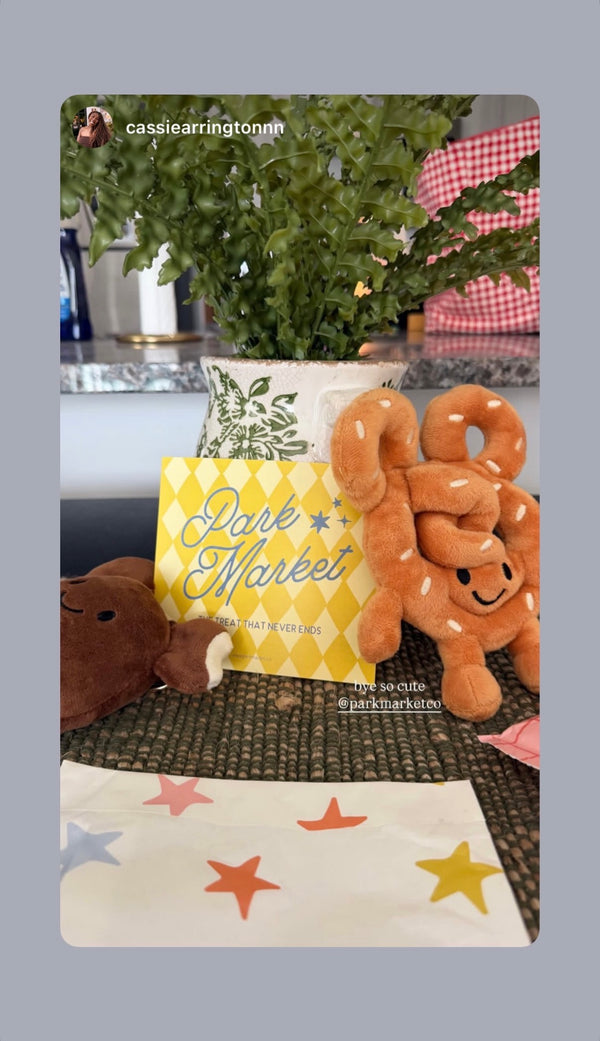 Customer Instagram story featuring Park Market